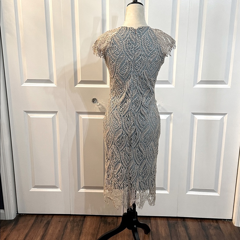 Elegant Lace Dress - Picture 4 of 6